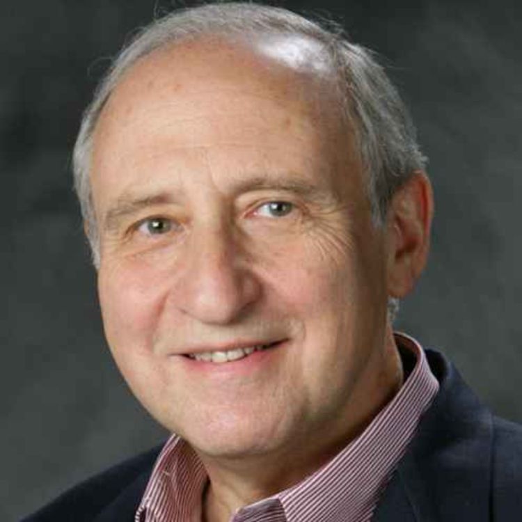 cover art for Ben Shneiderman 