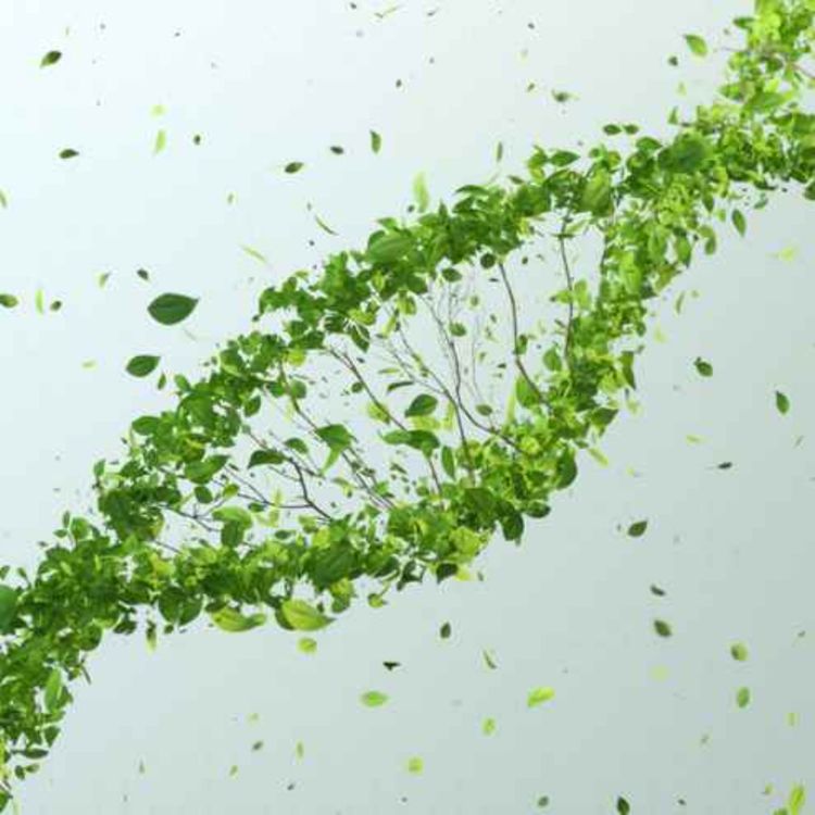 cover art for Digineer Presents: Leadership in Consulting