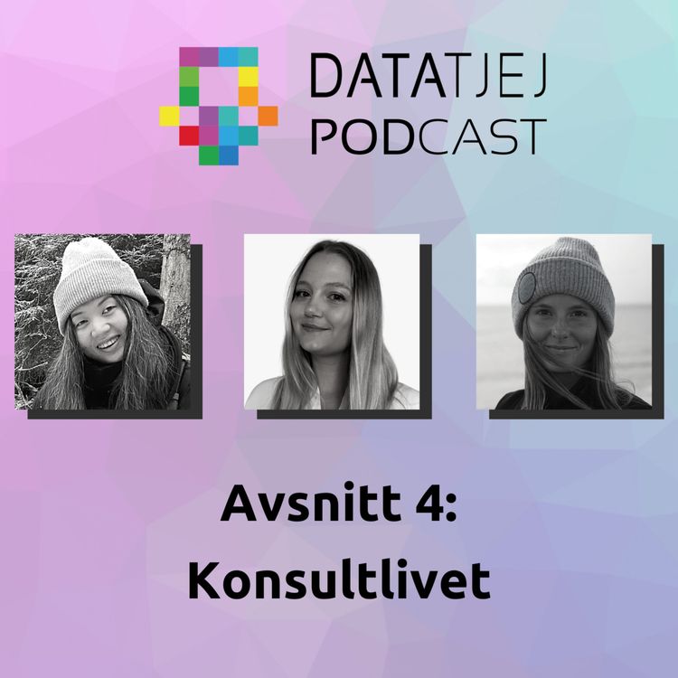 cover art for Konsultlivet