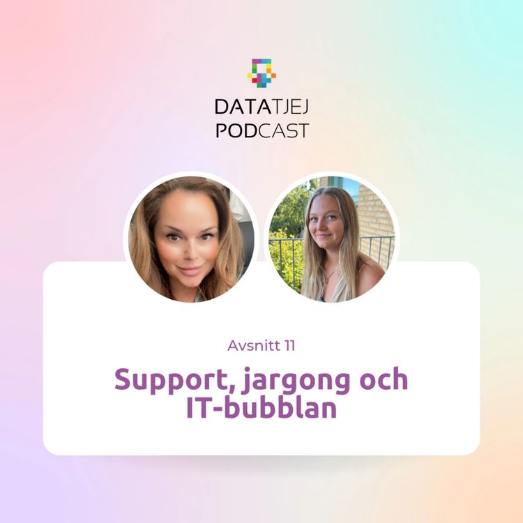 cover art for Support, jargong och IT-bubblan