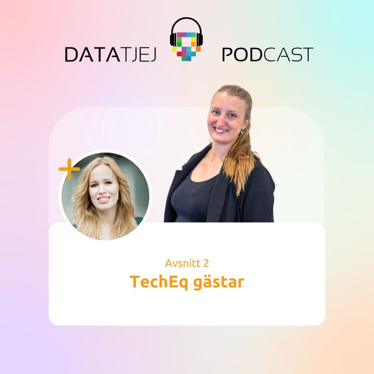 cover art for TechEq gästar