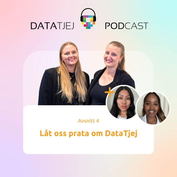 cover art for Allt du undrar om DataTjej