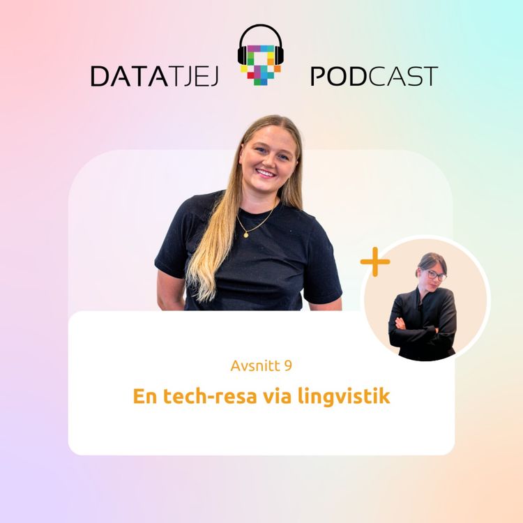 cover art for En tech-resa via lingvistik
