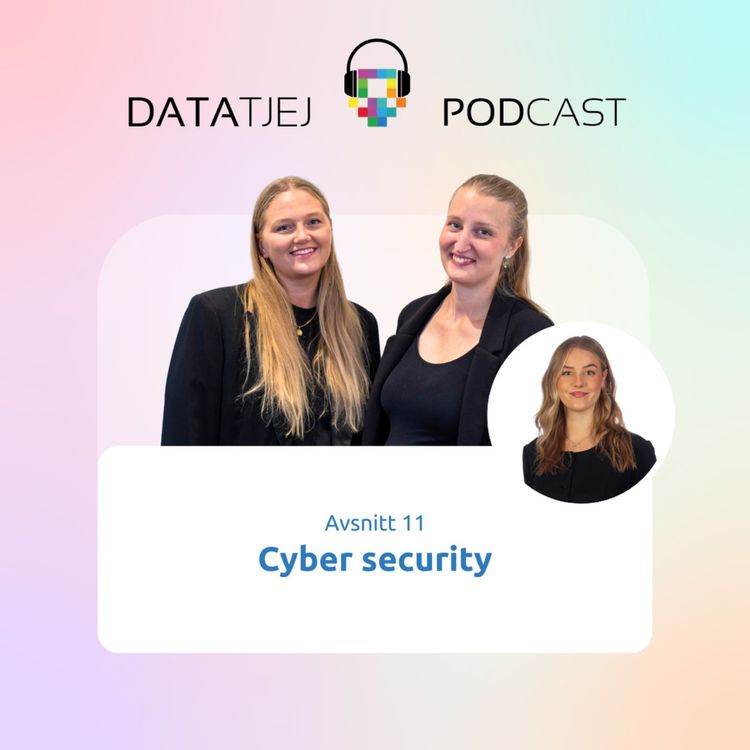 cover art for Cyber security: alla nyanser av tekniskt