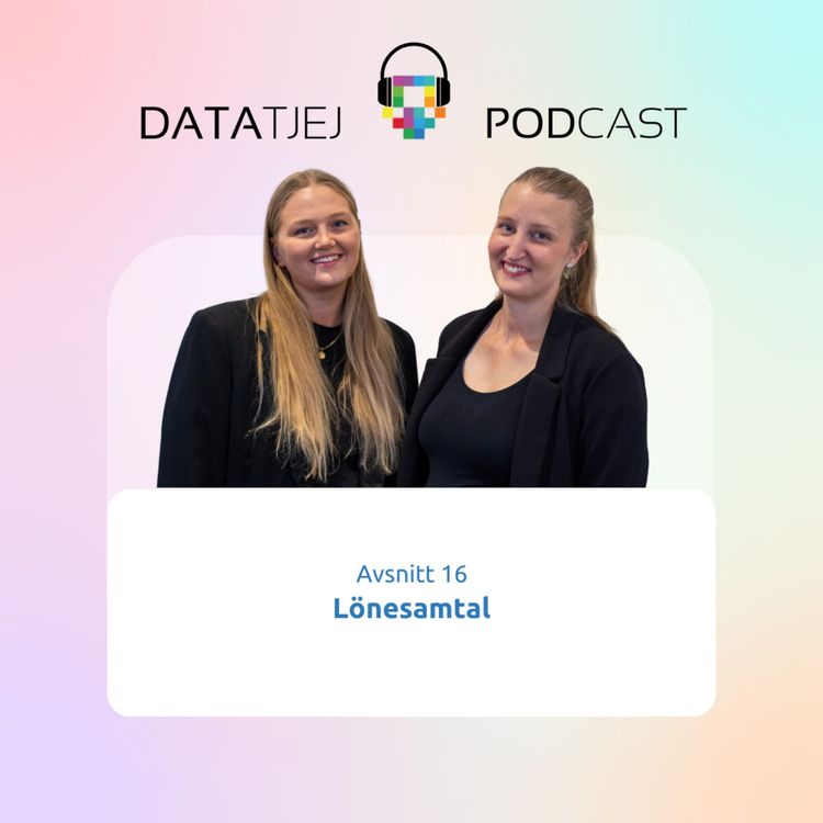 cover art for Lönesamtal
