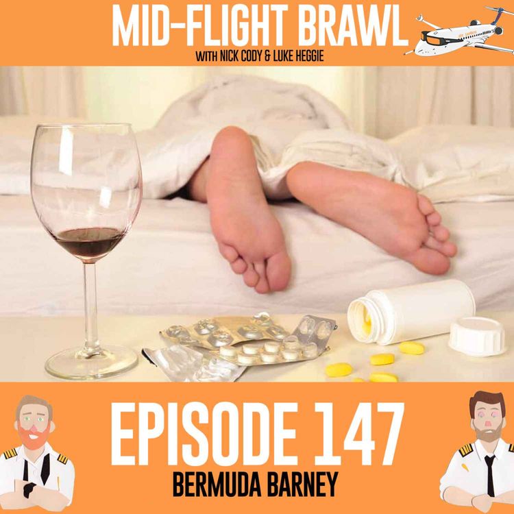 cover art for EPISODE 147 - BERMUDA BARNEY