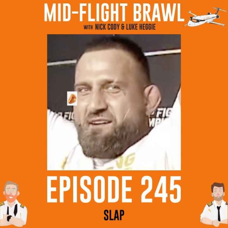 cover art for EPISODE 245 - SLAP