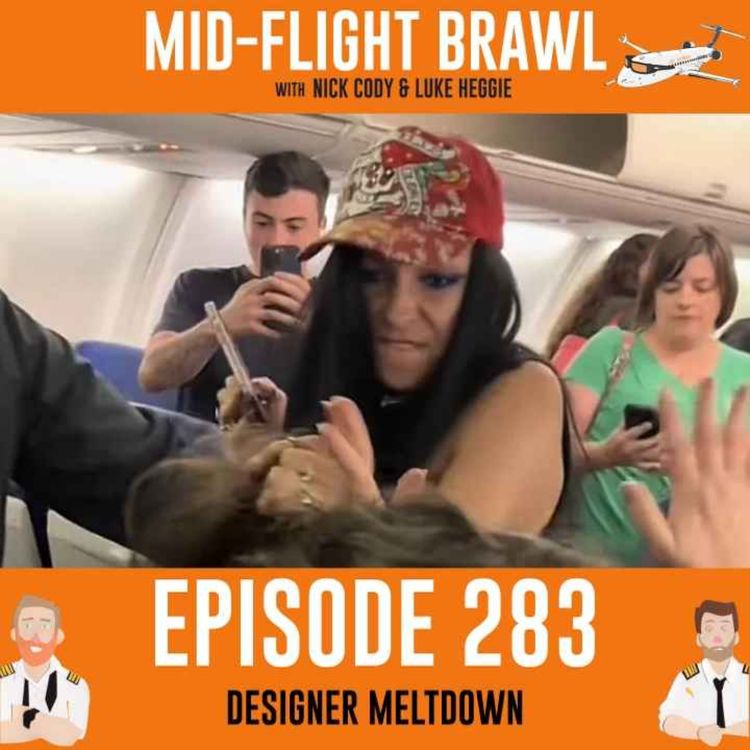 cover art for EPISODE 283 - DESIGNER MELTDOWN