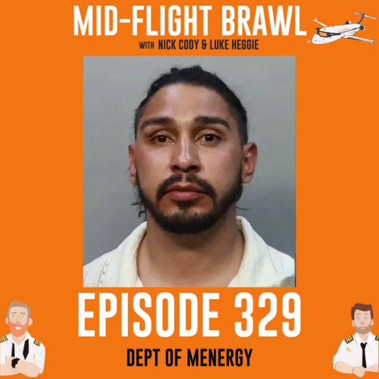 cover art for EPISODE 329 - DEPT OF MENERGY