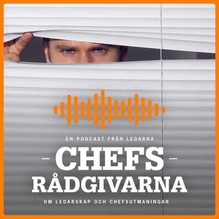 cover art for Övervakning och integritet på arbetsplatsen