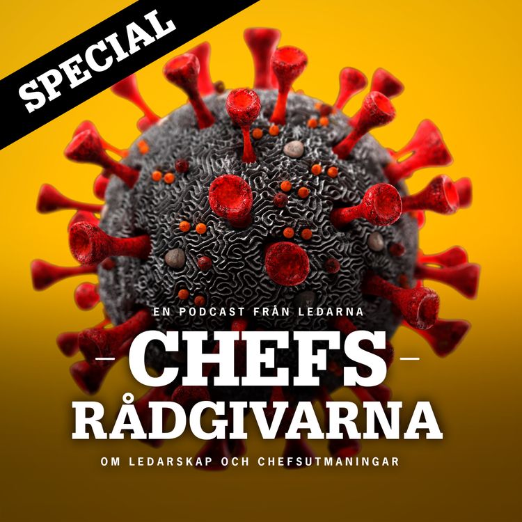 cover art for Coronapandemin: special om smittrisk och arbetsmiljöansvar