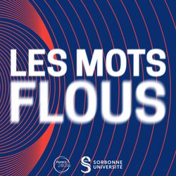 cover art for Les mots flous