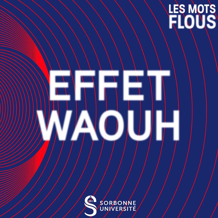 cover art for Effet waouh