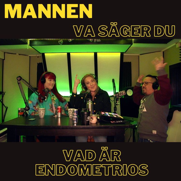 cover art for Vad Är Endometrios