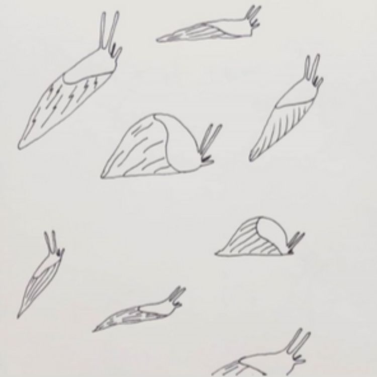 cover art for La vie devant soi