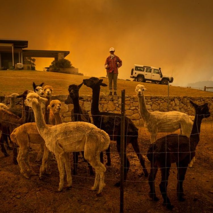 cover art for Retour aux sources