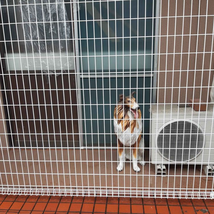 cover art for This is water