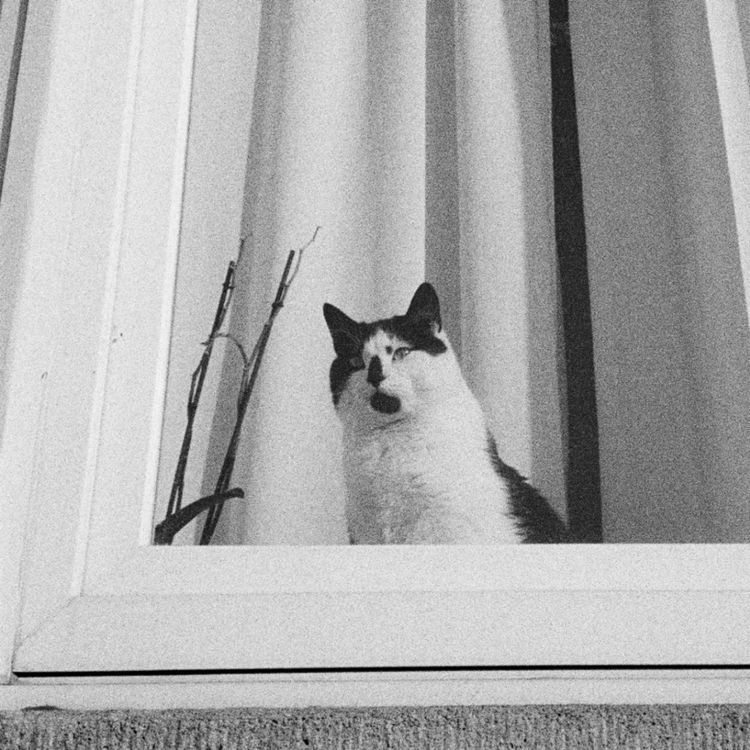 cover art for Flemme Olympique