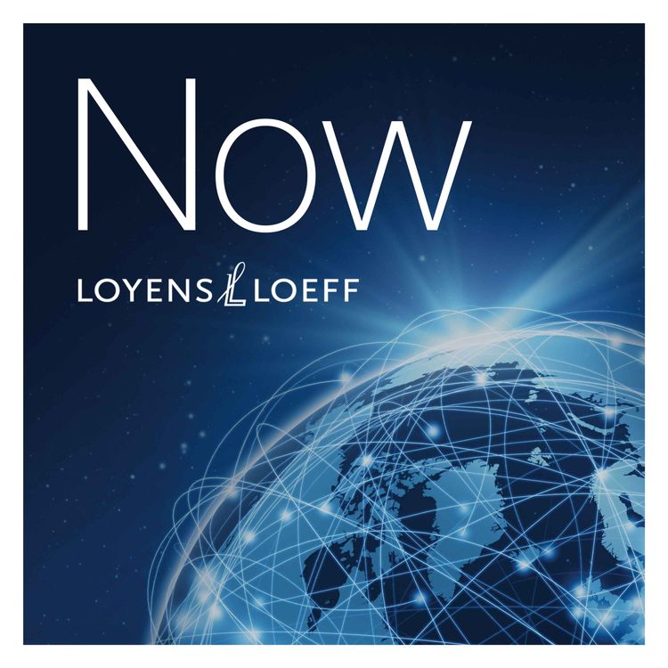 cover art for Digital Economy Platforms