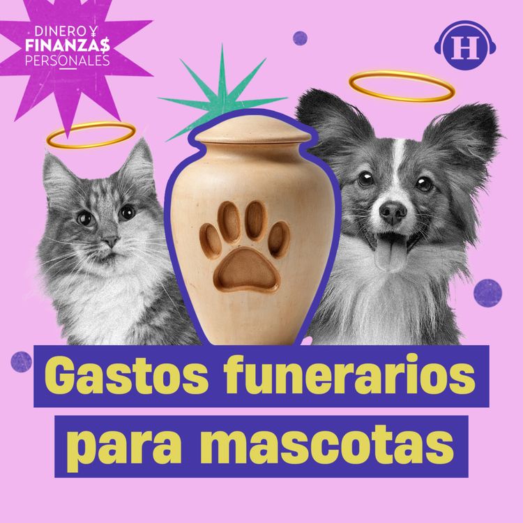 cover art for Gastos funerarios para mascotas: Destina un presupuesto para lo inevitable