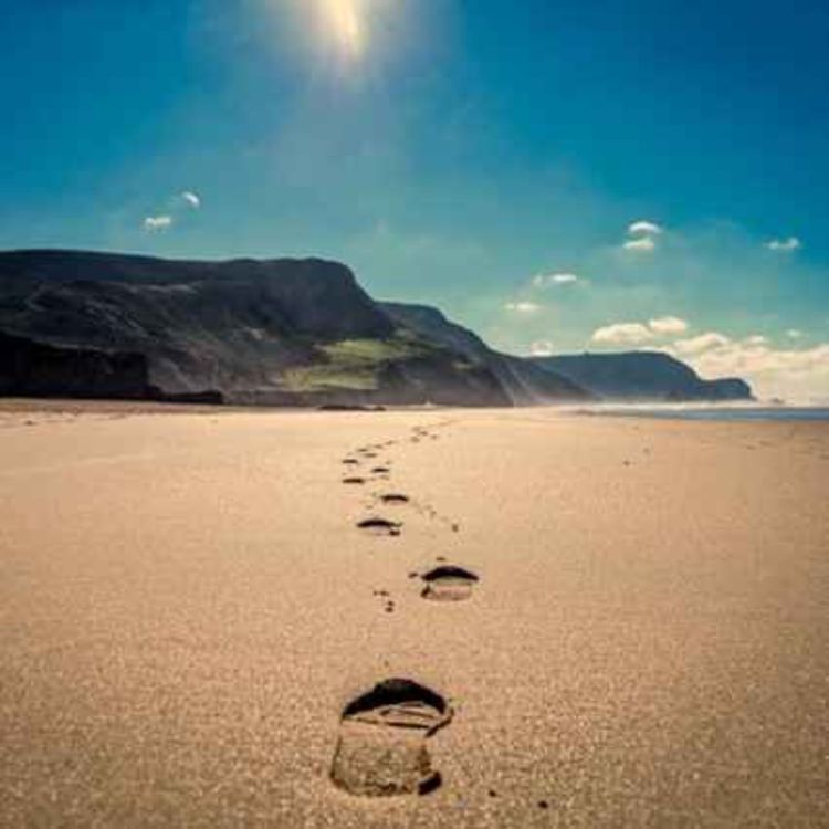 cover art for How Did We Get Here? : A Cookalong Podcast Quick Bite