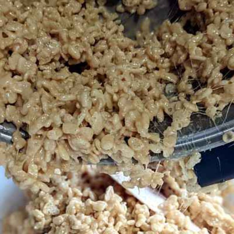 cover art for Salty Caramel Rice Krispie Treats
