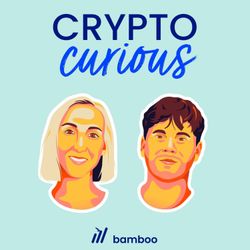 cover art for Crypto Curious