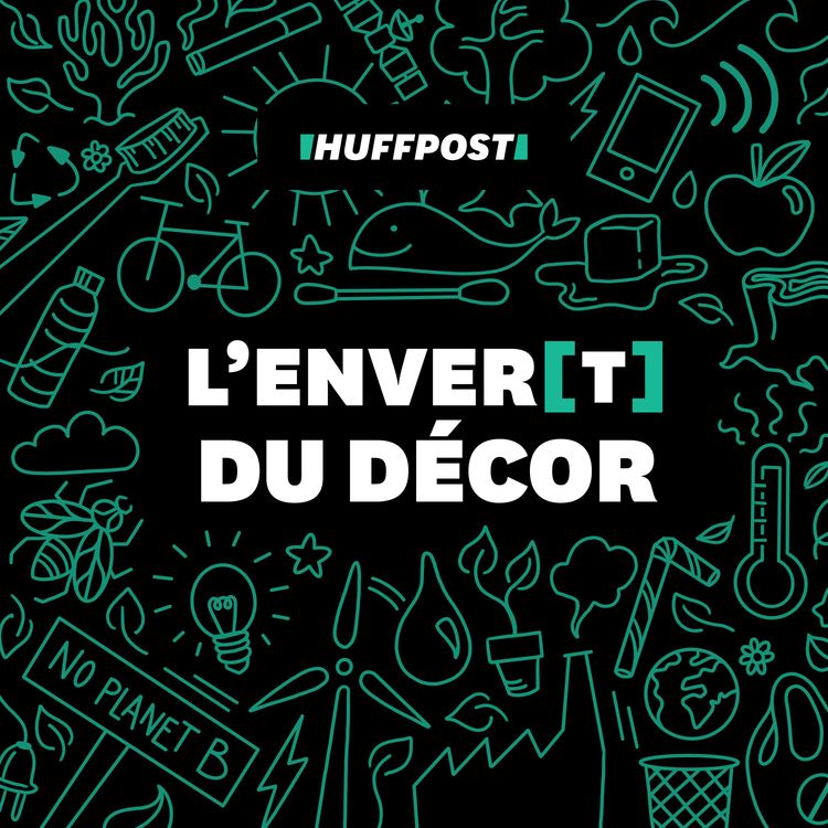 cover art for Quels sont les pires emballages de nos commandes à emporter ?