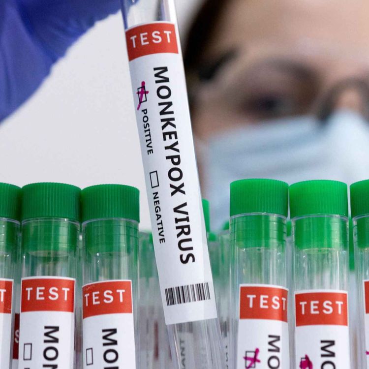 cover art for Variole du singe : faut-il s'inquiéter ?