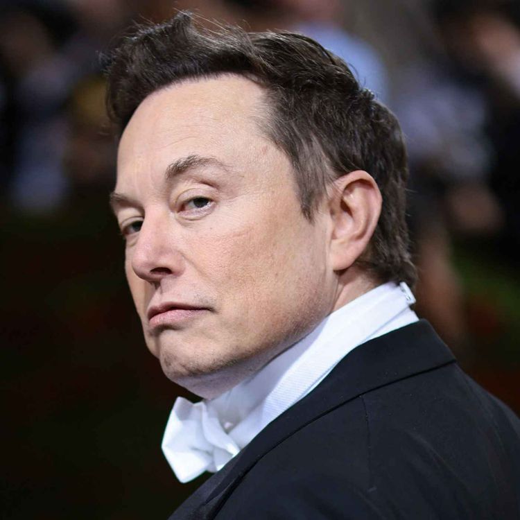 cover art for Elon Musk et Twitter : comment la lune de miel a tourné au vinaigre