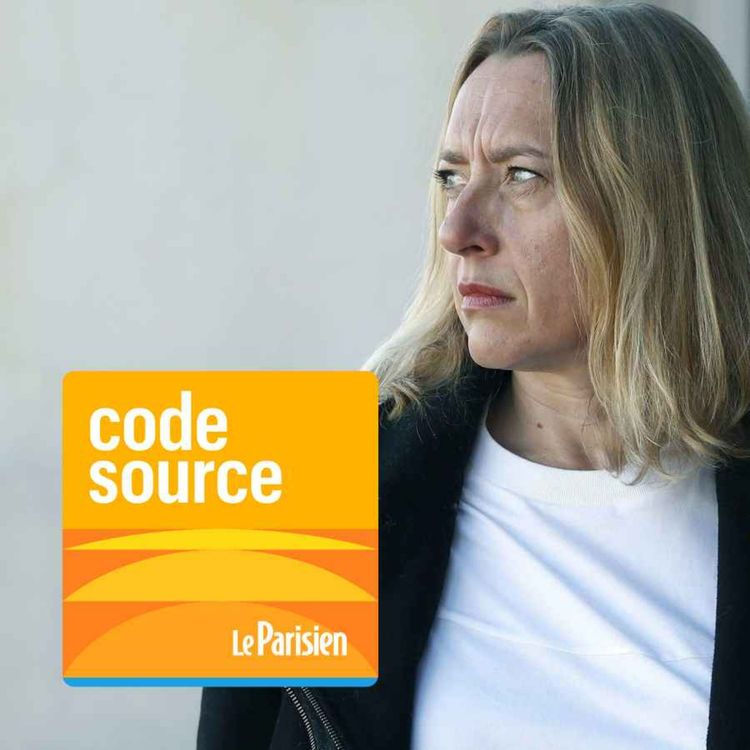 cover art for Virginie Despentes, d'ovni littéraire à écrivaine culte