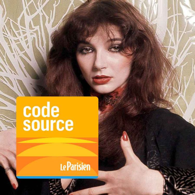 cover art for [REDIFF] Kate Bush dans «Stranger Things» : l'icône pop des années 80 retrouve la lumière