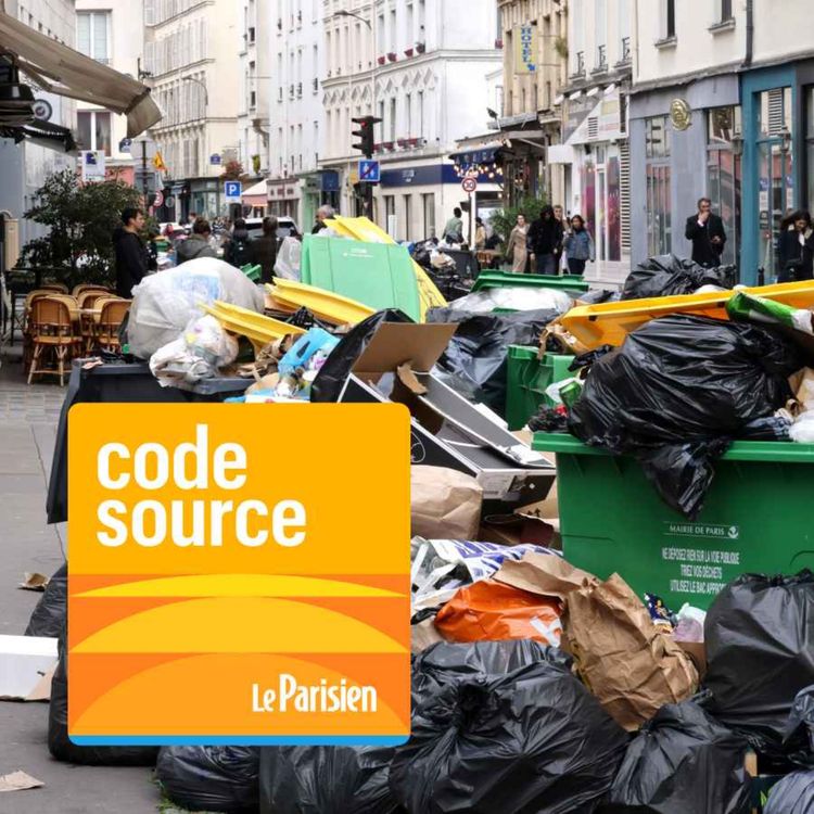 cover art for Grève des éboueurs à Paris : récit de trois semaines de bras de fer