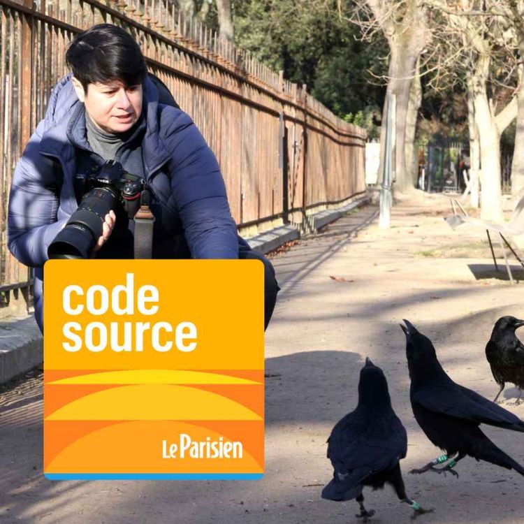 cover art for Marie-Lan Taÿ Pamart, à la découverte des corneilles de Paris