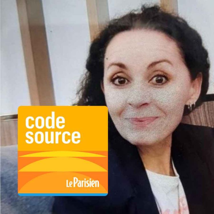 cover art for Mort de Karine Esquivillon : trois mois d’enquête et de mensonges