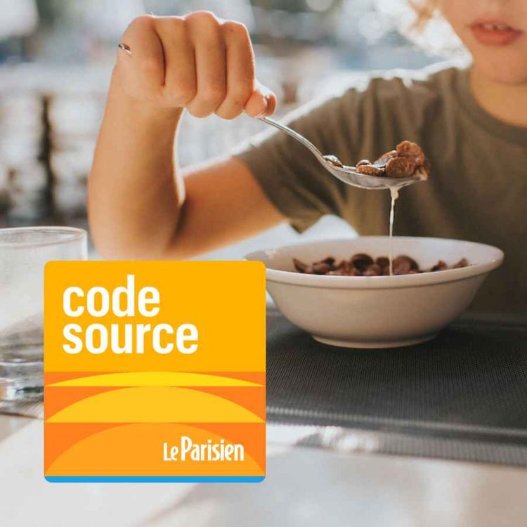 cover art for Cadmium : pourquoi sommes-nous surexposés à ce métal toxique ?