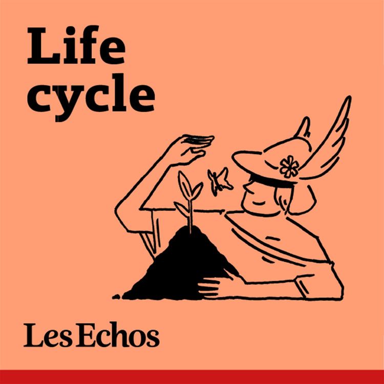 cover art for Bic, le défi de la réduction du plastique