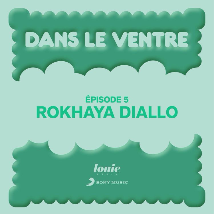 cover art for Dans le ventre de... Rokhaya Diallo