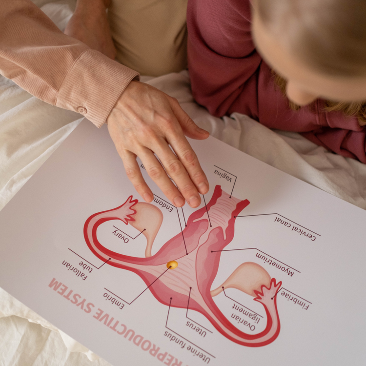 cover art for Mon corps, ma contraception