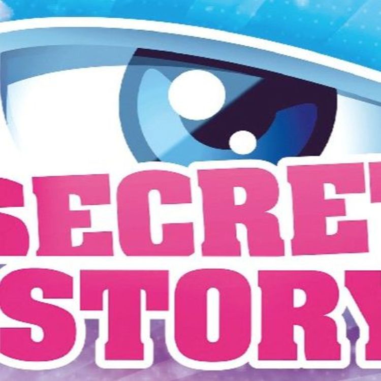 cover art for « Secret Story » débriefé par la rédac