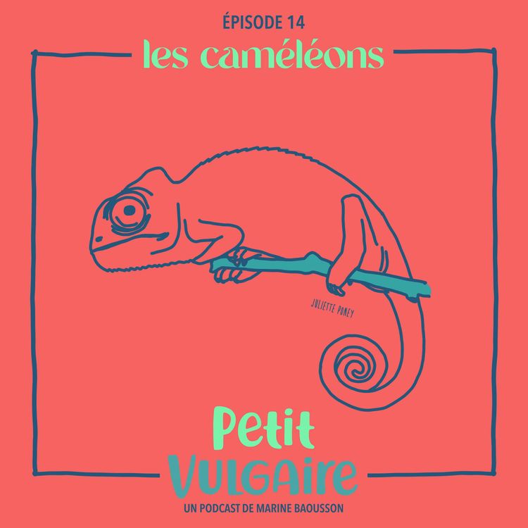 cover art for Petit Vulgaire : LES CAMÉLÉONS