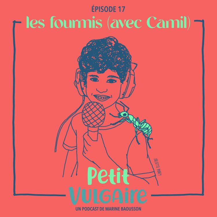 cover art for Petit Vulgaire : LES FOURMIS - Avec Camil, 9 ans