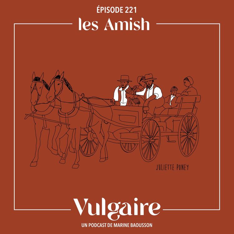 cover art for LES AMISH