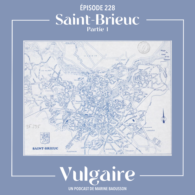 cover art for SAINT-BRIEUC (partie 1)