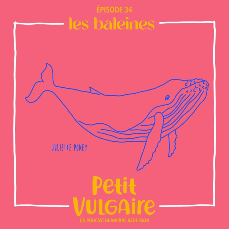 cover art for PETIT VULGAIRE : LES BALEINES