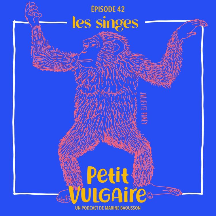 cover art for Petit Vulgaire : LES SINGES