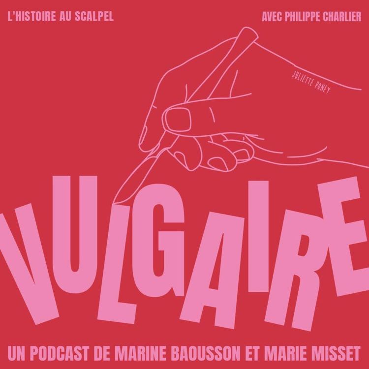 cover art for L'HISTOIRE AU SCALPEL