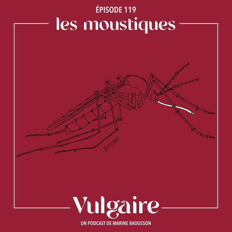 cover art for LES MOUSTIQUES