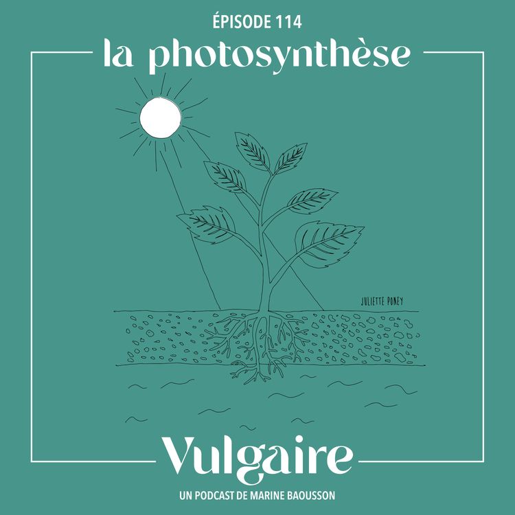 cover art for LA PHOTOSYNTHÈSE