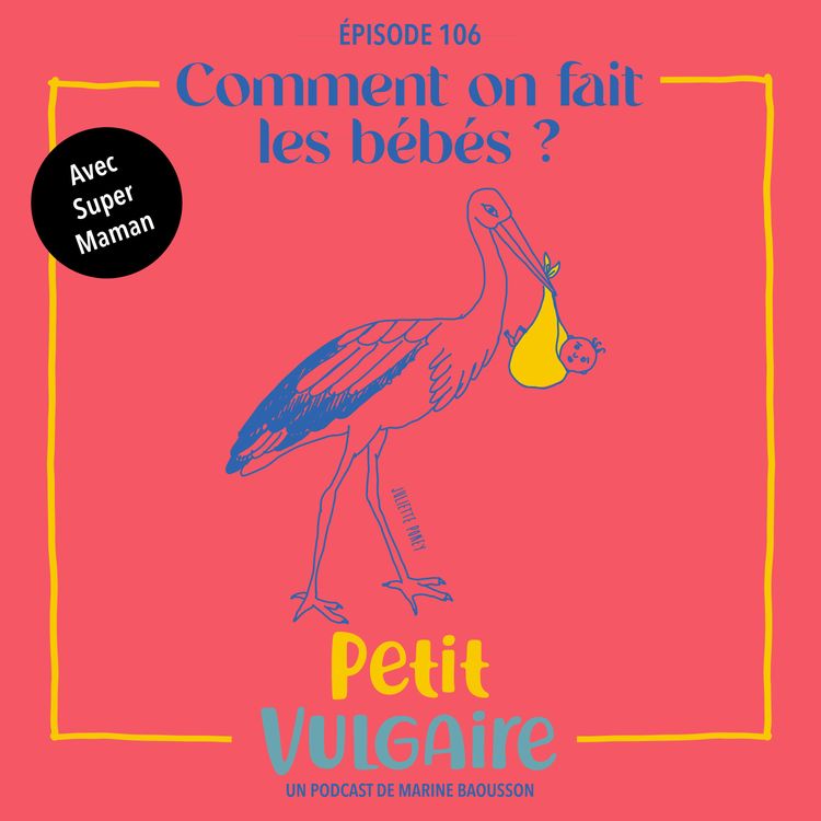 cover art for Petit Vulgaire : COMMENT ON FAIT LES BÉBÉS ?